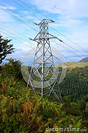 Green landscape and high voltage electrical power line. High voltage lines and power pylons in a green agricultural landscape Stock Photo