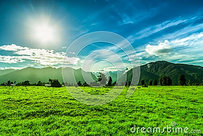 Green landscape in New Zealand Stock Photo