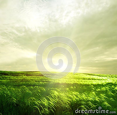 Green landscape Stock Photo