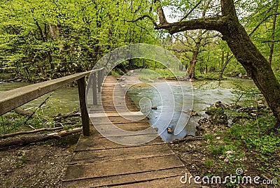 Green landscape and wooden bridge in national park Rakov Skocjan in Slovenia during spring time Stock Photo