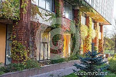 green landscaping near the facade of a business building Stock Photo