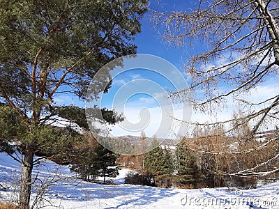 With and without green lanscape snow happy time Stock Photo