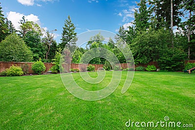Green large fenced backyard with trees. Stock Photo