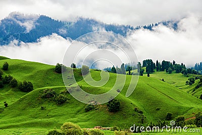 The green lawn and fog on the hillside in the summer valley meadows of Nalati Stock Photo