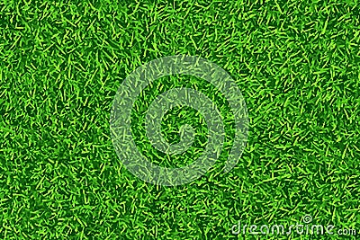 Green lawn, Grass. Pattern texture repeating seamless. Vector Illustration