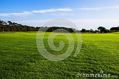 Green lawn at Margam country park grounds, Whales Stock Photo