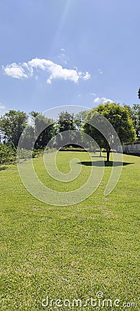 green lawn in a serene highland Stock Photo