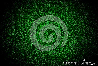 Green lawn texture background for design, closeup view Stock Photo