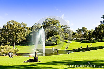 Green lawn in Kings Park - Perth, Australia. Editorial Stock Photo