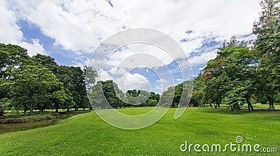 Green Lawn and Trees with blue sky at the public park Stock Photo