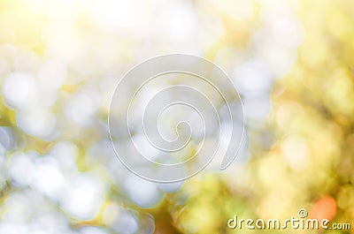 Green leaf background Blurred leaves, circular bokeh, abstract from beautiful leaves, green nature concepts and for design images Stock Photo