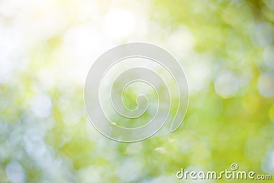 Green leaf background Blurred leaves, circular bokeh, abstract from beautiful leaves, green nature concepts and for design images Stock Photo