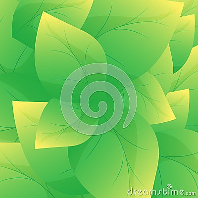 Green leaf background vector.Beautiful leaves texture background Vector Illustration