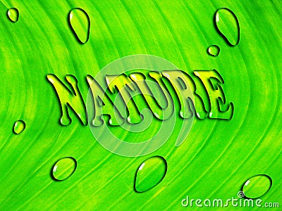 Green leaf background with water inscription ''NATURE'' Stock Photo