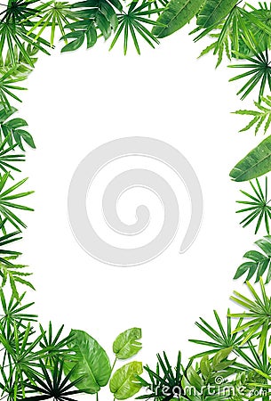 Green leaf border background Stock Photo