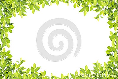 Green leaf border on white background. Stock Photo