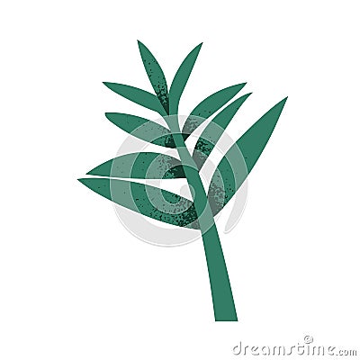 Green leaf branch. Fresh decorative foliage. Botanical floral natural design element, leaves. Tropical exotic plant Vector Illustration