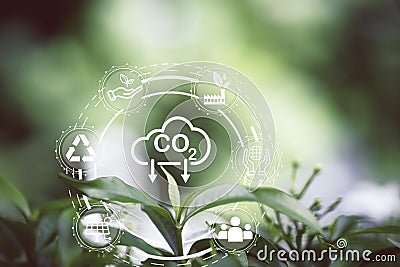 Green leaf and CO2 reducing icon with environment social governance for decrease carbon dioxide emission ,carbon footprint and Stock Photo