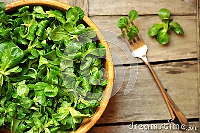 Green leaf diet concept with fresh valerian salad Stock Photo