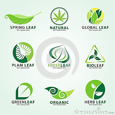 Green leaf logo for business vector set design Vector Illustration