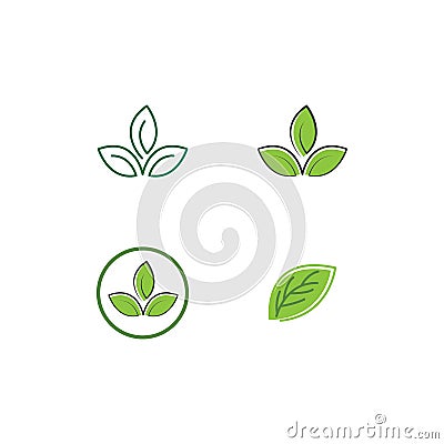 Green leaf logo Vector Illustration