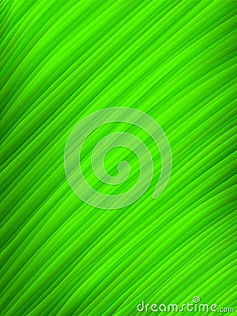 Green leaf macro Vector Illustration