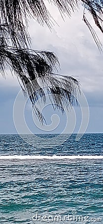 Green leaf sea Sky white foam blue wave clear Stock Photo