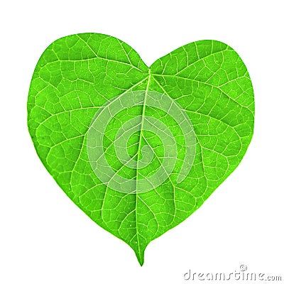 Green leaf in shape of heart Stock Photo