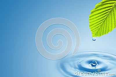 Green leaf with splashing water drops. Stock Photo