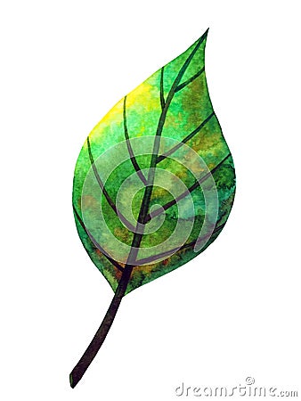 Green leaf tree plant eco energy ecology nature power environmental concept save earth concept leaf shape icon logo sign symbol Cartoon Illustration