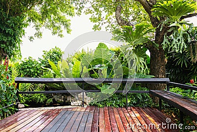 green leaf with tree and wood in garden at park Stock Photo