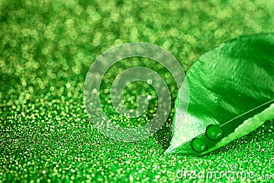 Green leaf with water droplets Stock Photo