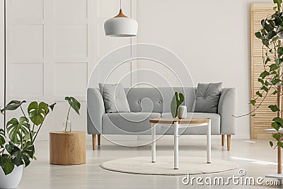 Green leaf in white vase on round wooden coffee table in stylish living room with grey scandinavian sofa Stock Photo