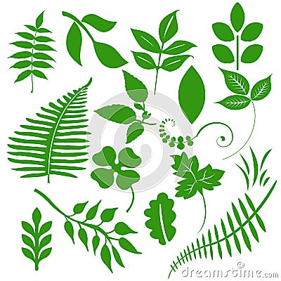 Green Leafs Stock Photo