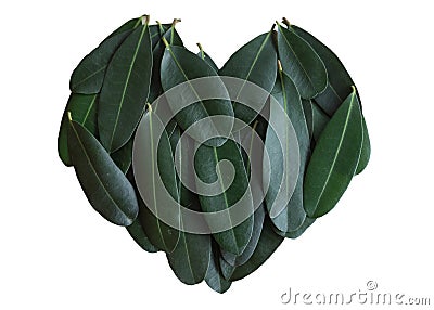 Green leafs gather together in sweet design. Isolate green heart shape on white background Stock Photo