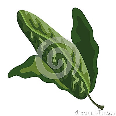 green leafs plant foliage Vector Illustration