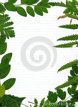 Green leafy natural border Stock Photo