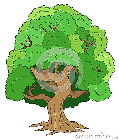 Green leafy tree Vector Illustration