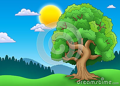 Green leafy tree in landscape Cartoon Illustration