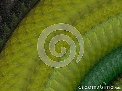 Green leather snake textured background . Stock Photo