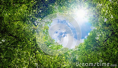 Green leaves background, blue sky heart shape cloud ecology concept idea eco love symbol background abstract Stock Photo