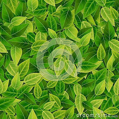 Green leaves background, eco, organic, seamless pattern, Vector Illustration