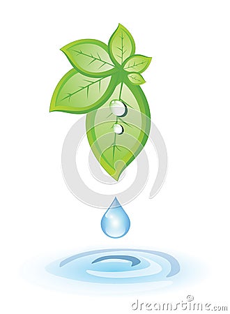 Green leaves and blue drop Vector Illustration
