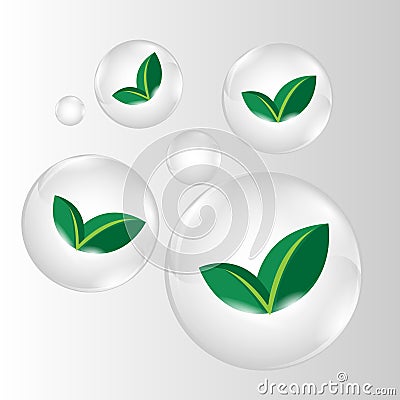 Green leaves in clear glossy vector Vector Illustration