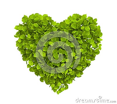 Green Leaves Heart Shape on White Background. Ecology concept Cartoon Illustration