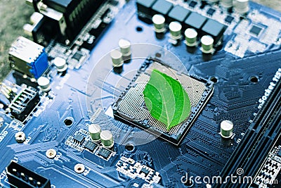 Green leaves inside a computer circuit board green technology and environmental technology Nature combined with digital technology Stock Photo