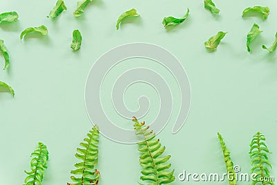 Green leaves minimal on green background Stock Photo