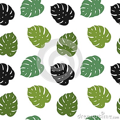 Green leaves of monstera, tropics hand drawing Vector Illustration