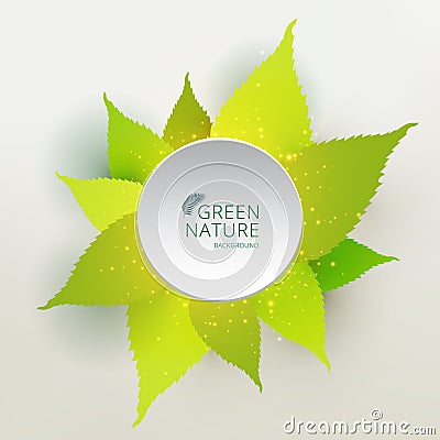 Green leaves nature concept with label circle white color Vector Illustration