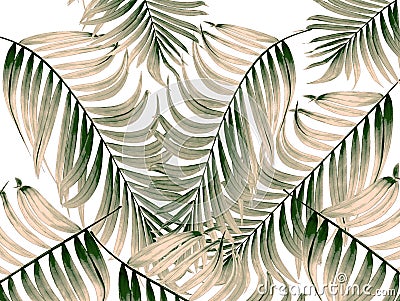 Green leaves of palm tree on white background Stock Photo